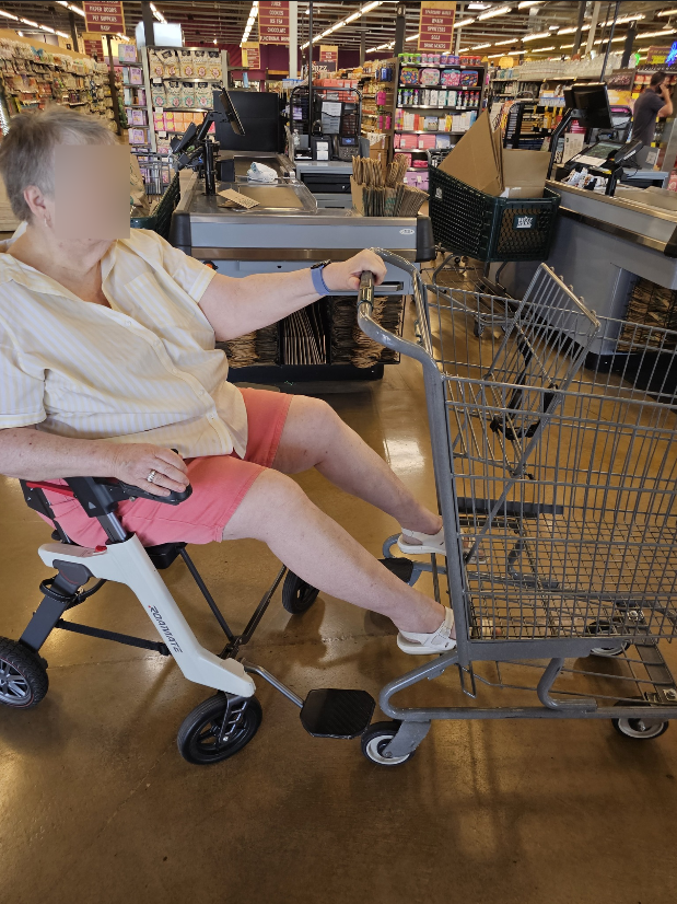 A woman pulling the cart with Roamate